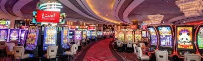 7n cm ma cao